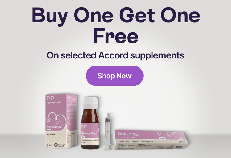 Buy One Get One Free On selected Accord Supplements - Shop Now