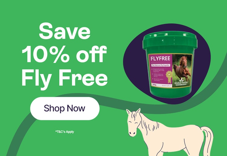 Save 10% off Fly Free - Shop Now