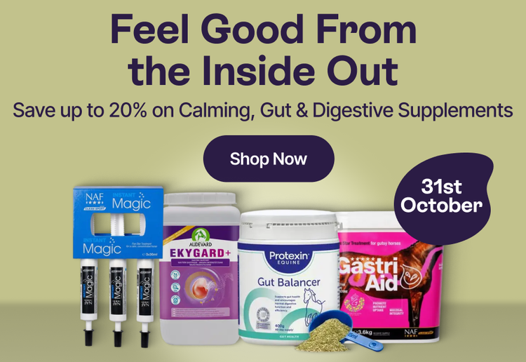 Feel good from the inside out - Save up to 20% on Calming, Gut, Digestive Supplements