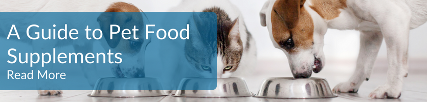 Pet Supplement guide header