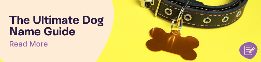 Dog Naming Guide Header Image