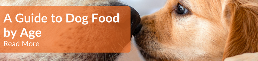 Age-specific Dog Food Header