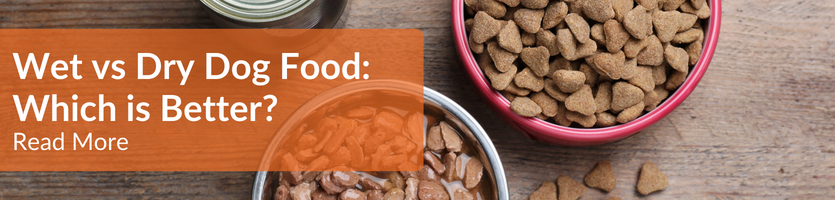 Wet vs Dry Dog Food Comparison header