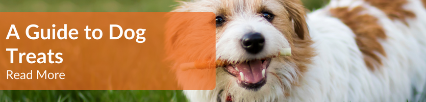 Dog Treats Guide Header