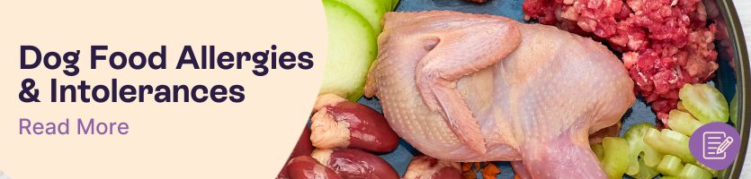 Dog Food Allergies