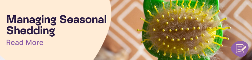 How to Manage Seasonal Shedding Header