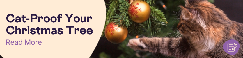 How to Cat-Proof Your Christmas Tree header