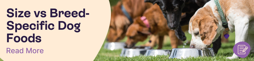 Size and breed comaprison header