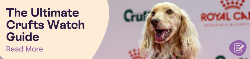 The Ultimate Crufts 2025 Guide