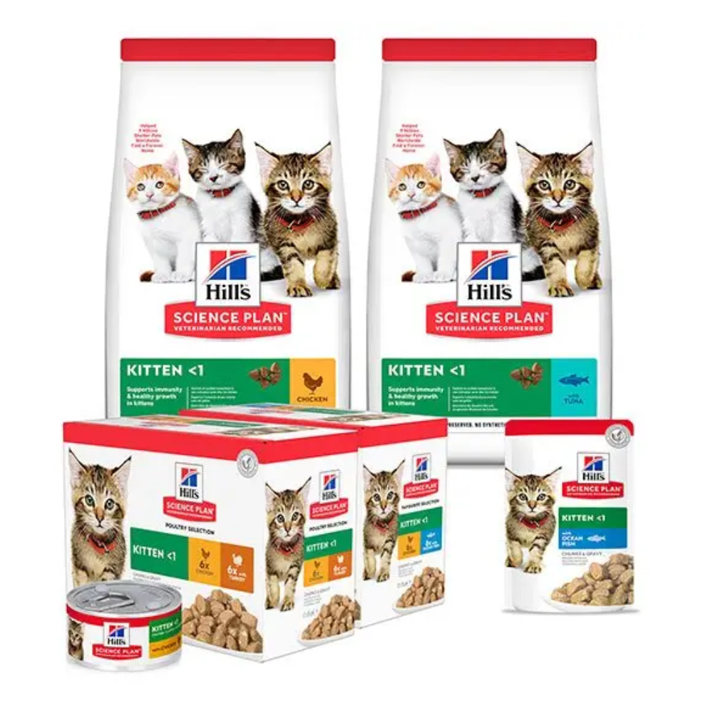 Hill's Kitten Food