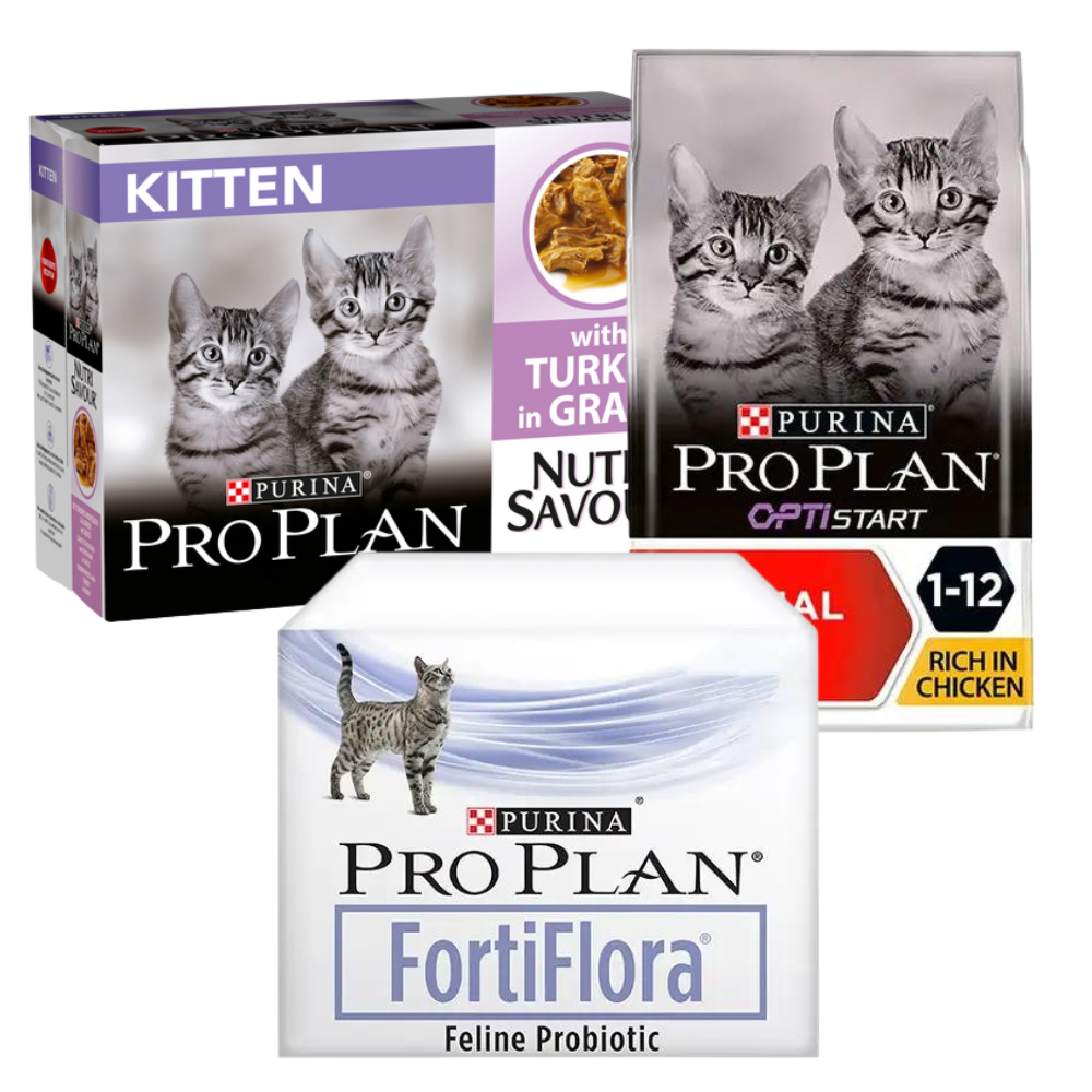 Purina Kitten Food