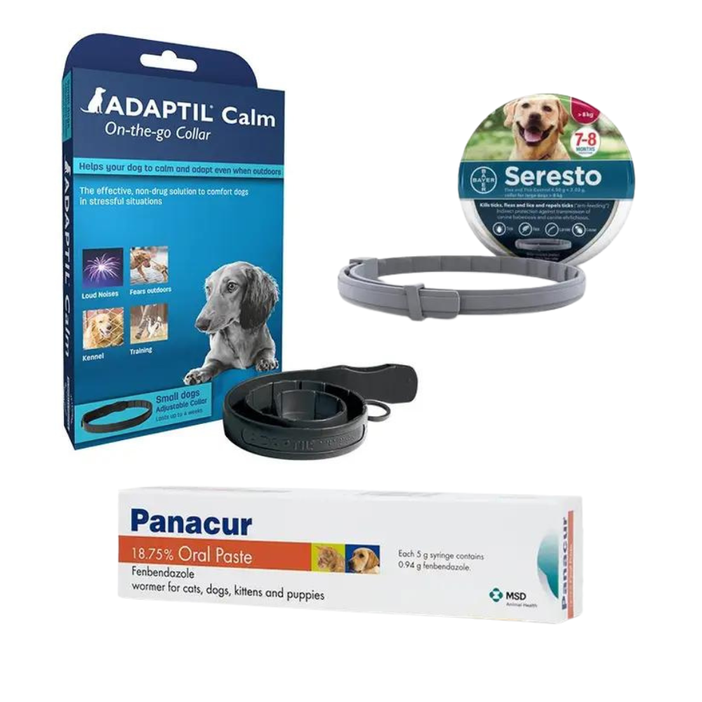 Puppy Offers and Best Sellers