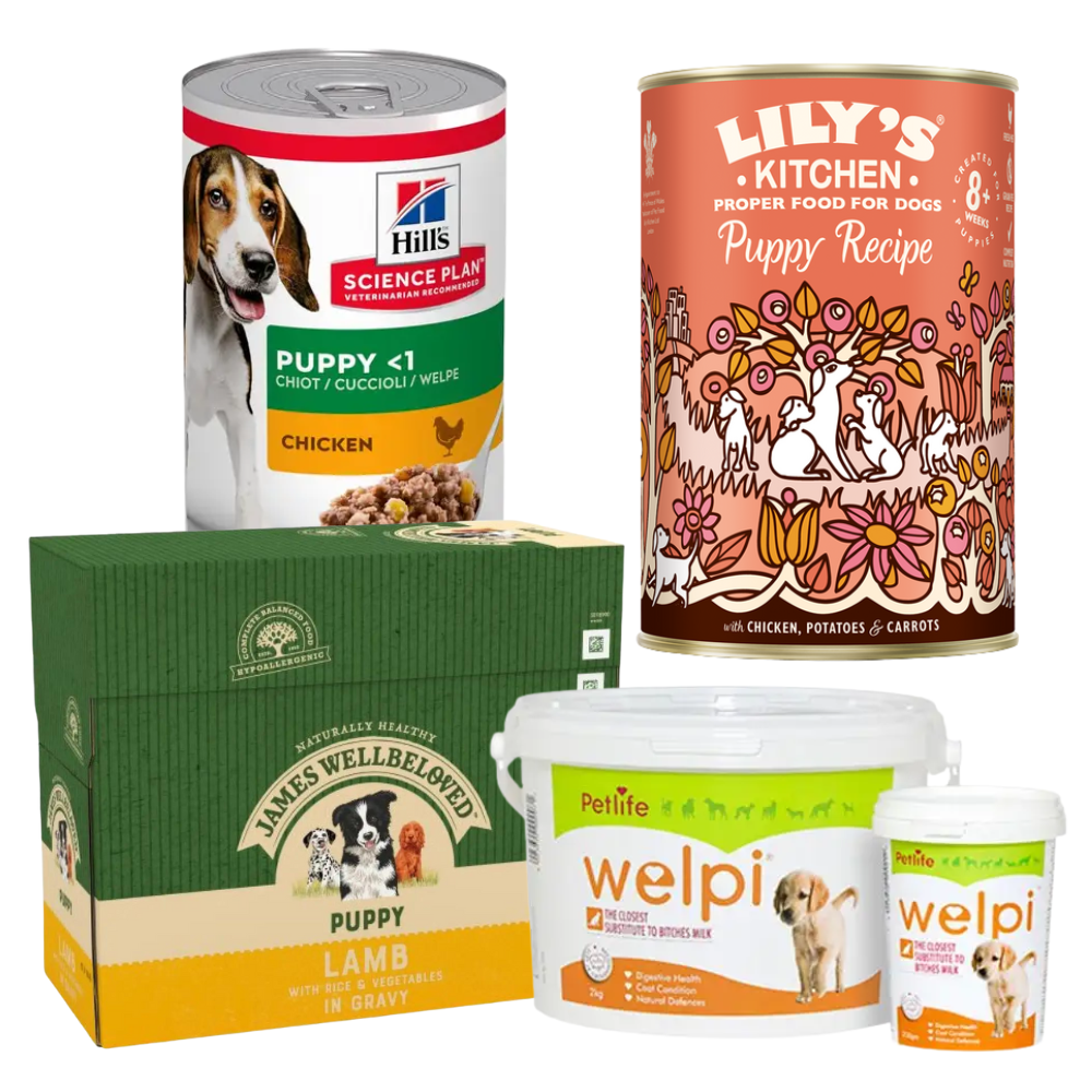Royal Canin Dry Cat and Dog Food