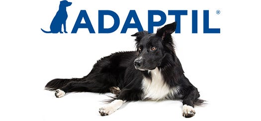 Adaptil calming aids header image