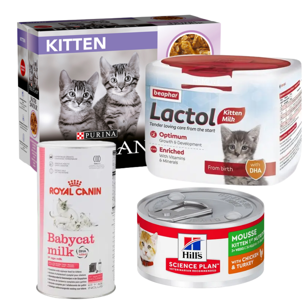 Royal Canin Dry Cat and Dog Food