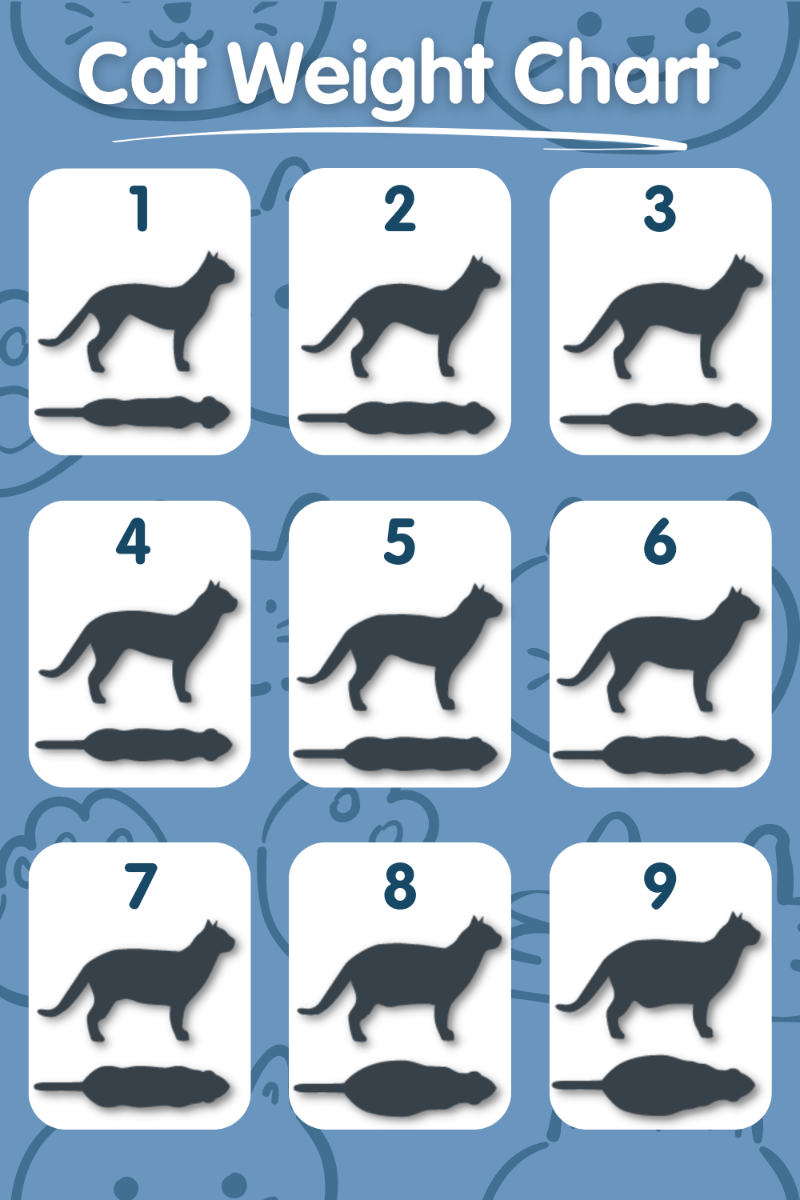 Normal Cat Weight Chart Hot Sex Picture normal-cat-weight-chart-hot-sex-picture