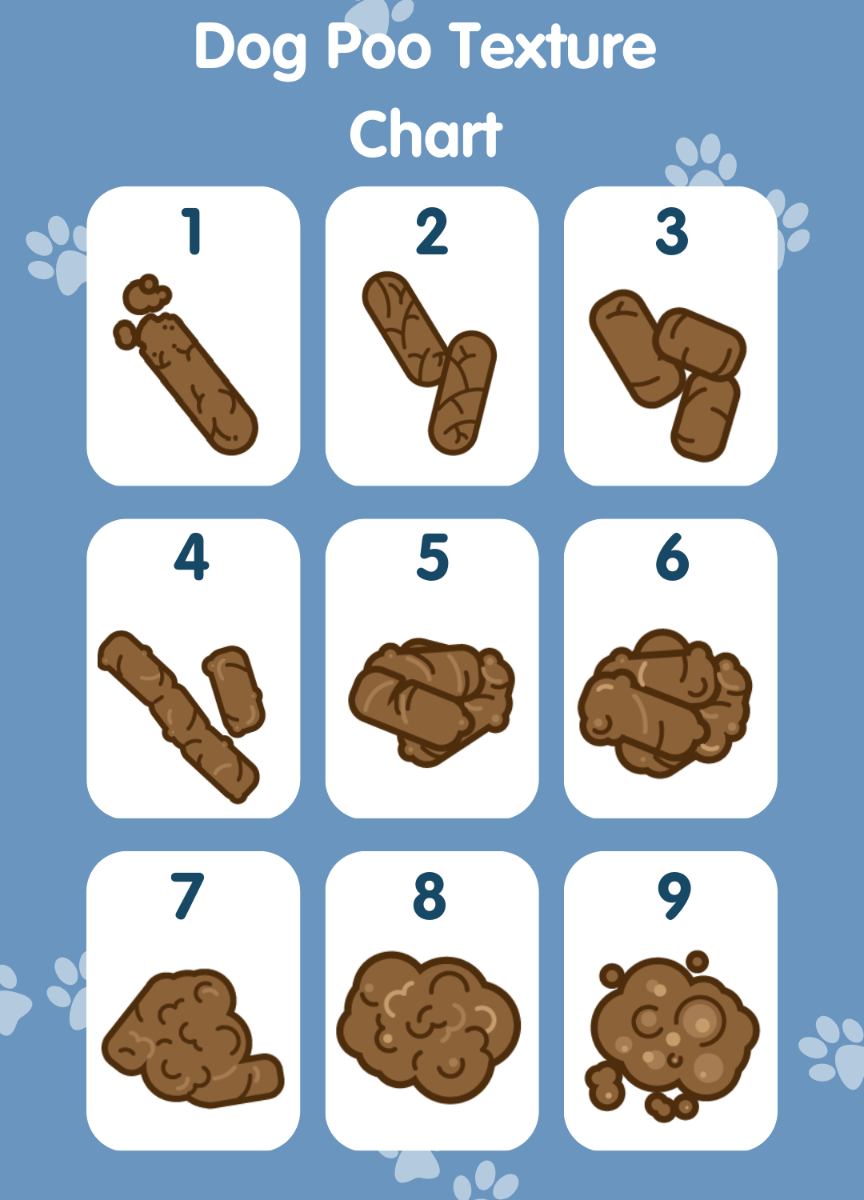 Use Our Healthy Dog Poop Chart to Discover If Your Dog's Poop is
