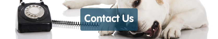 Contact Pet Drugs Online