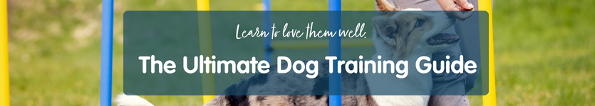 Complete guide to dog training