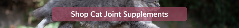 Shop Cat joint Supplements at Pet Drugs Online