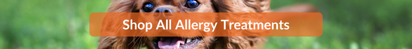 Shop All Dog Allergy Treatments