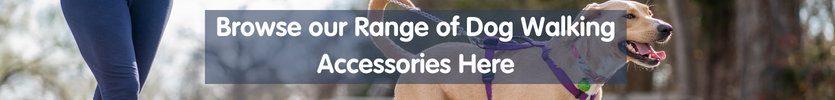 Find All the dog walking essentials you need here