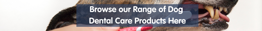 Browse our range of dog dental care products here