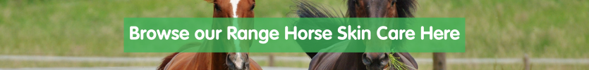 Shop horse skin treatments at Pet Drugs Online
