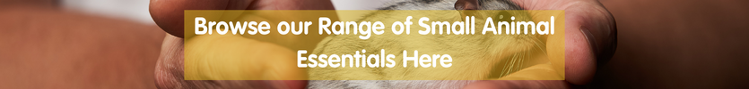 Browse our range of samll pet essentials