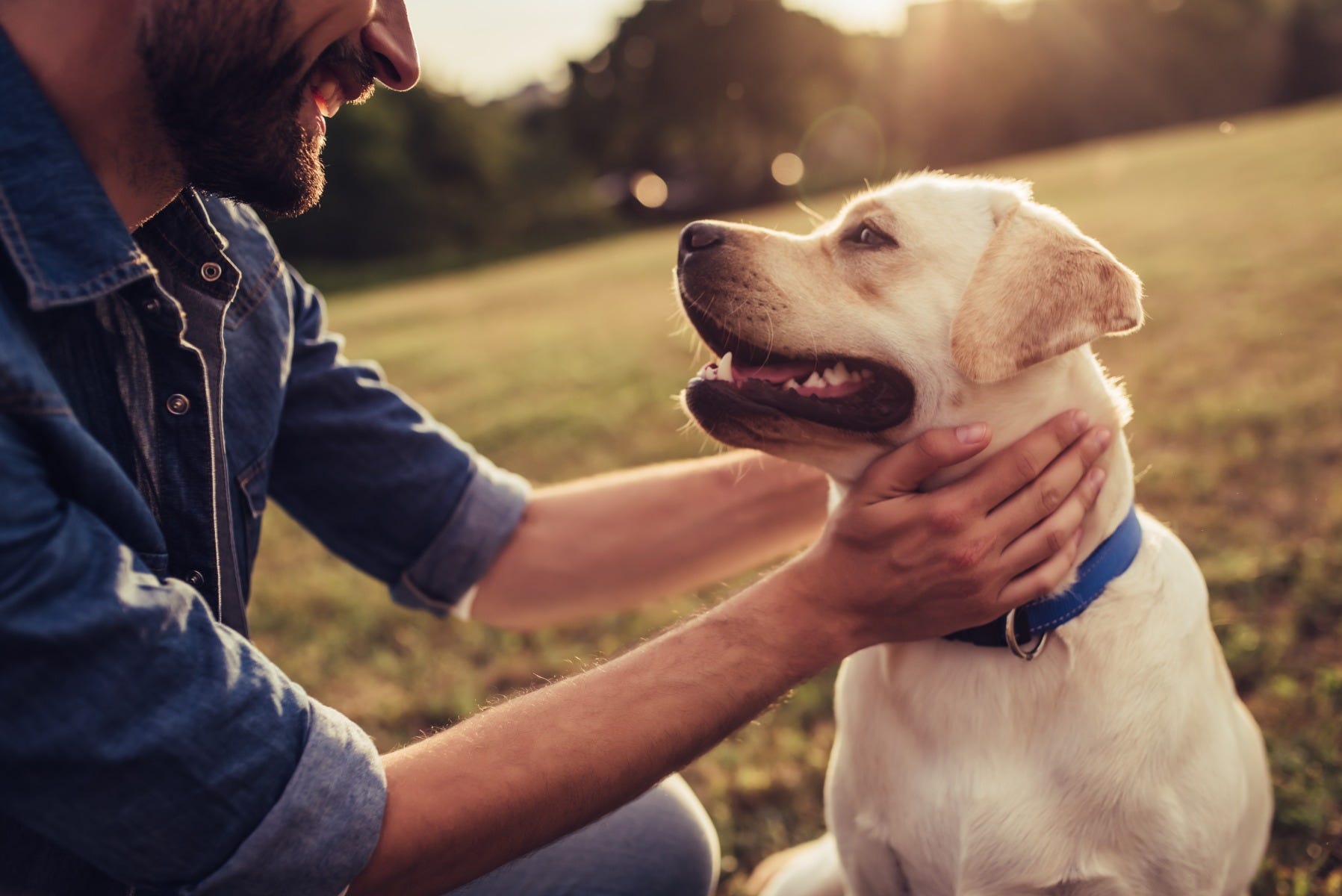 Man with labrador