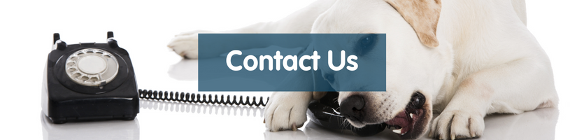 Contact us banner