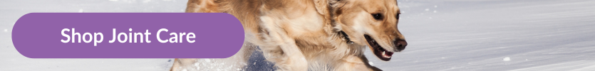 A Golden Retriever running through the snow with overlay that reads "Shop Joint Care"