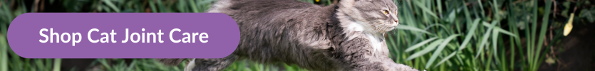 A longhaired grey and white tabby cat running through the garden with overlay text that reads "Shop Cat Joint Care"