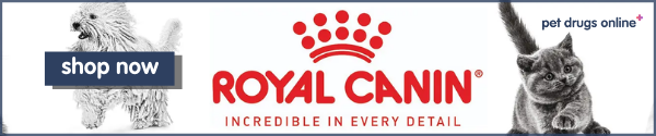 Shop Royal Canin Food