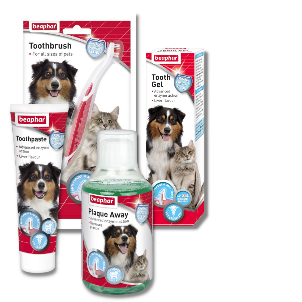 Royal Canin Puppy/Kitten Food