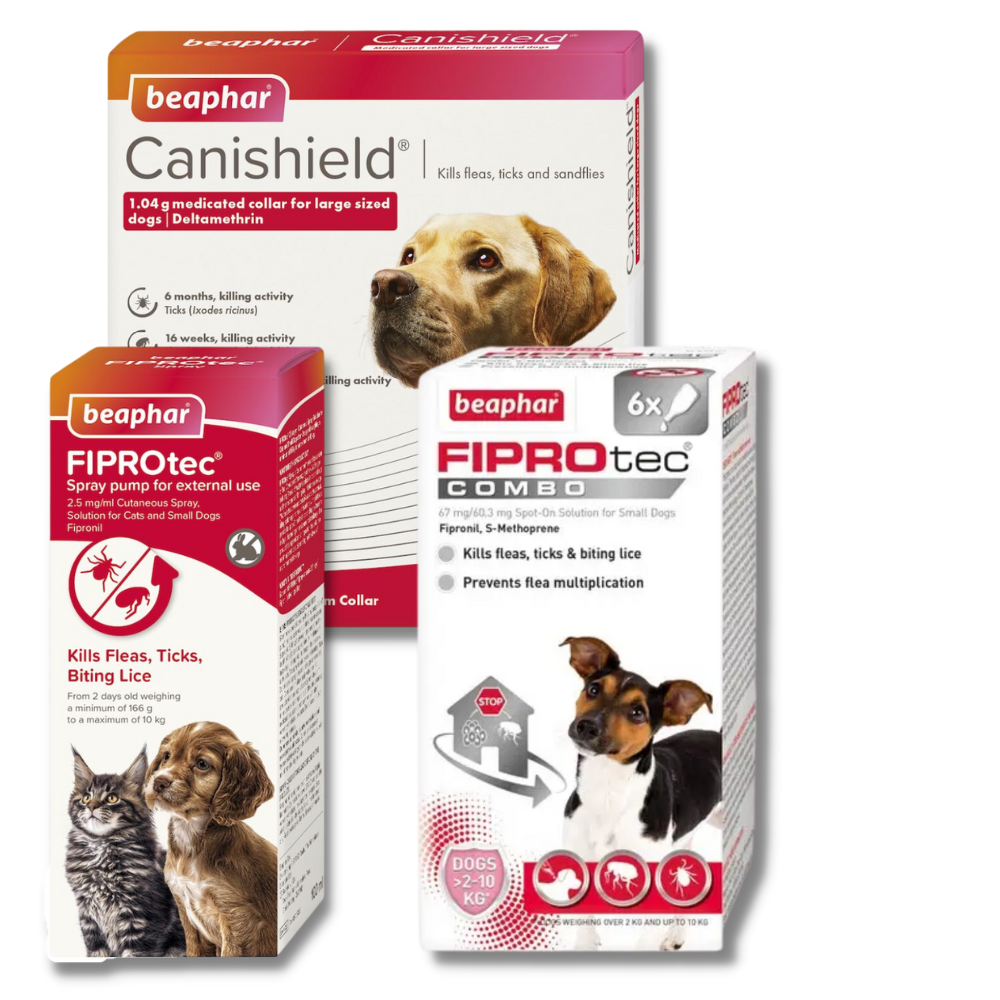 Royal Canin Dry Cat and Dog Food