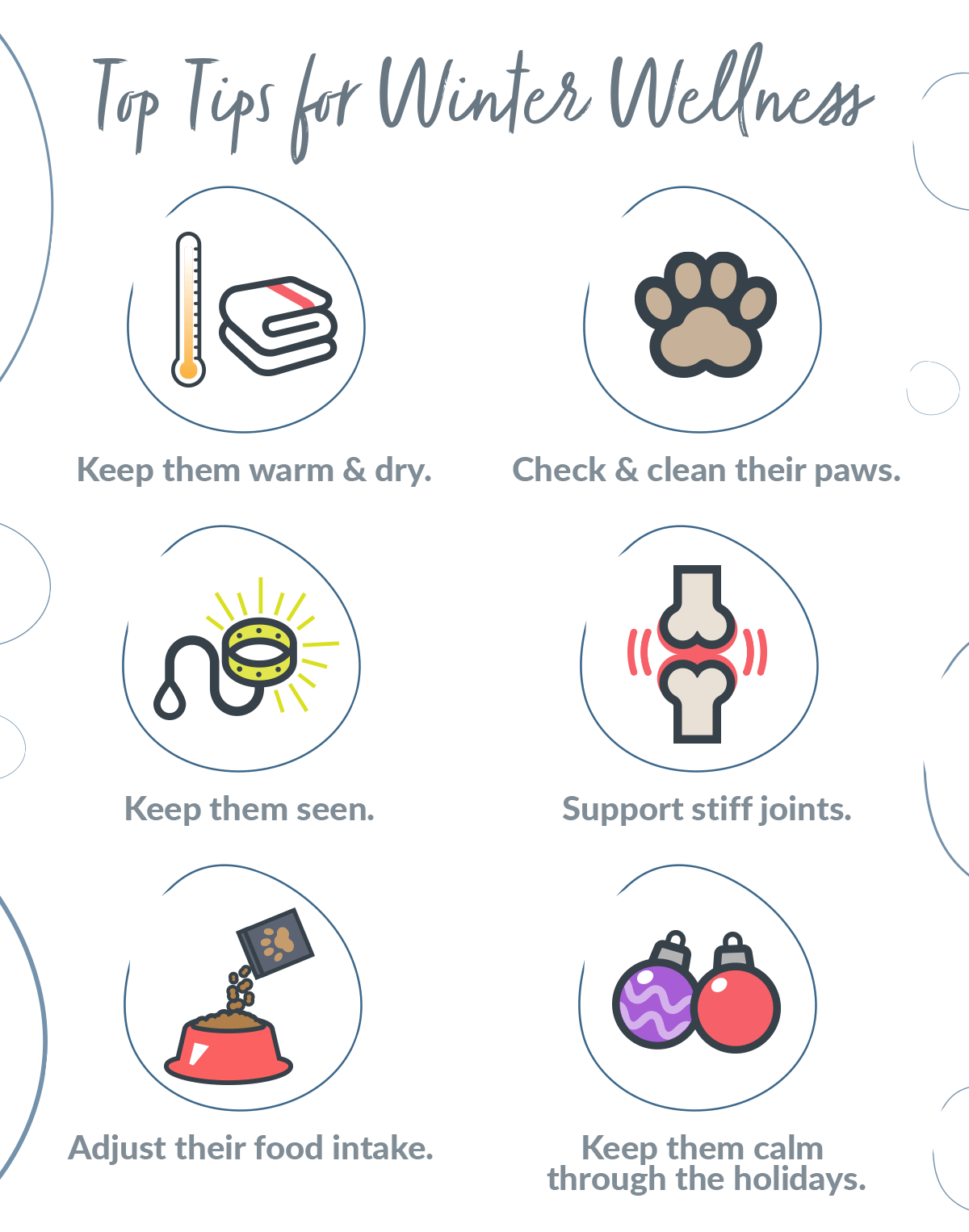 A visual guide with six tips on how to keep pets well during the winter