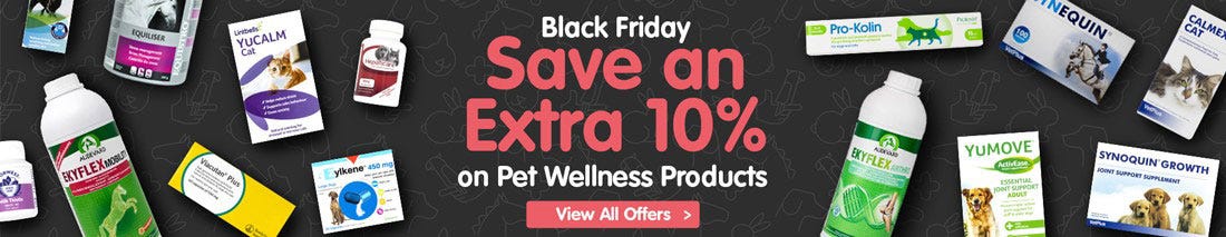 View our Black Friday Dog Offers!