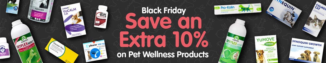 View our Black Friday Dog Offers!