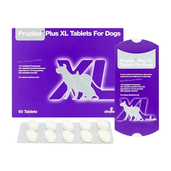 Royal Canin Wet Cat and Dog Food