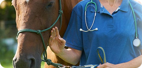 Horse Prescriptions