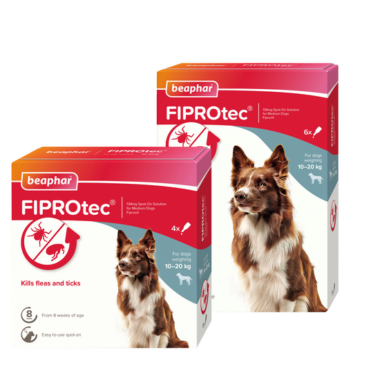 Beaphar FIPROtec Spot-On Flea and Tick Treatment for Medium Dogs 10kg-20kg 15781