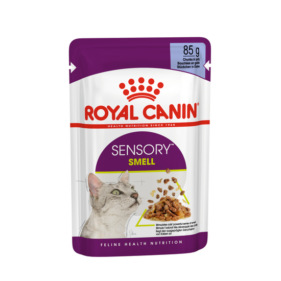 Royal Canin Sensory Smell Adult Wet Cat Food Chunks in Jelly 85g Pouches 20200