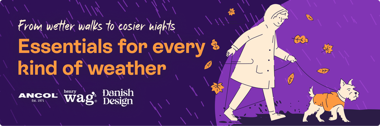 From wetter walks to cosier nights - Essentials for every kind of weather