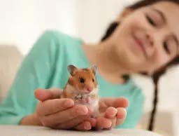 Girl holding hamster