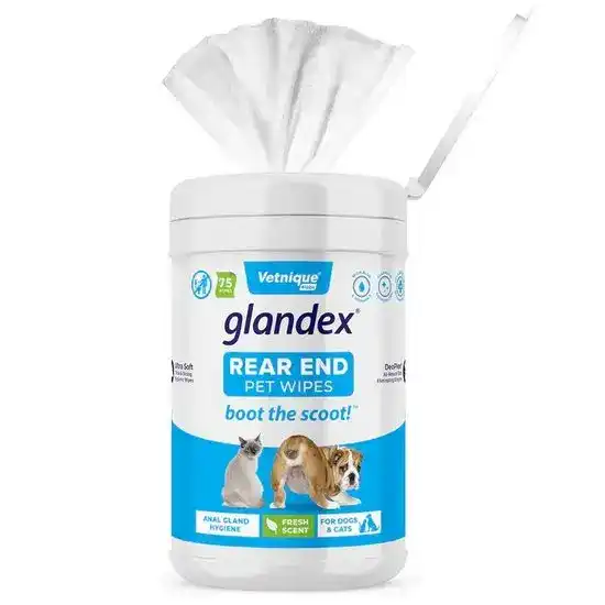 Glandex Anal Gland Hygienic Rear End Pet Wipes for Dogs and Cats 10578
