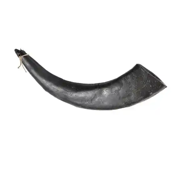 Hollings Jumbo Buffalo Horn Dog Treat 1 Piece 17931