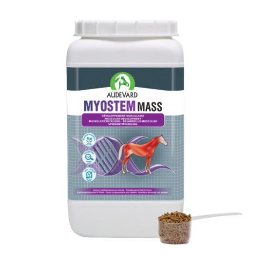 Audevard Myostem Mass Supplement for Horses 21138