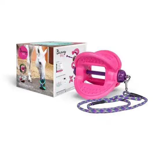 Bizzy Horse Bizzy Ball 19924