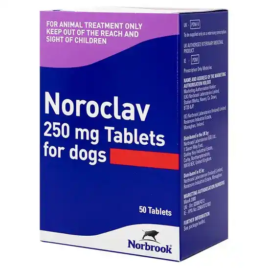 Noroclav Tablets for Dogs 250mg 3034